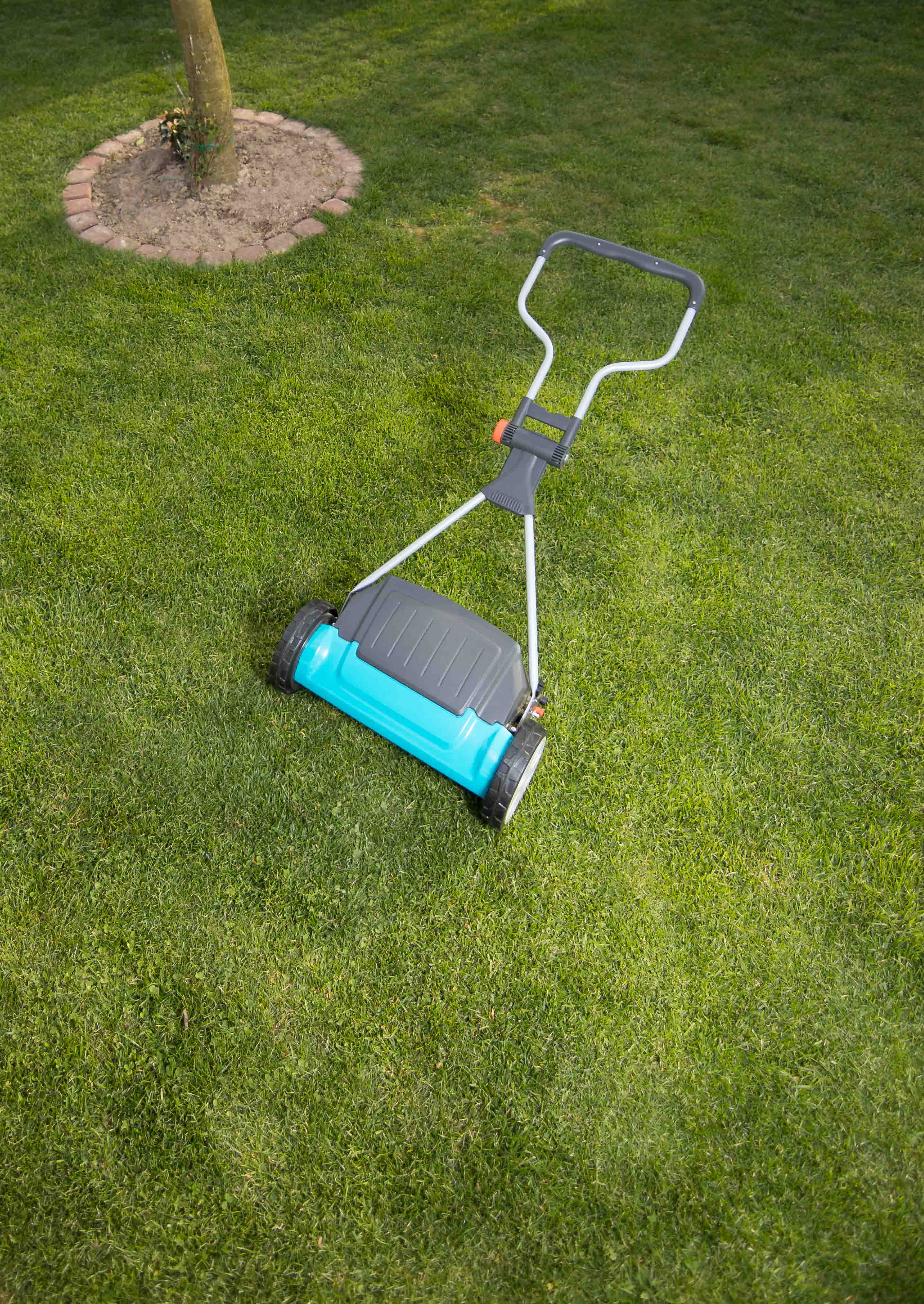 Lawn Rejuvenation