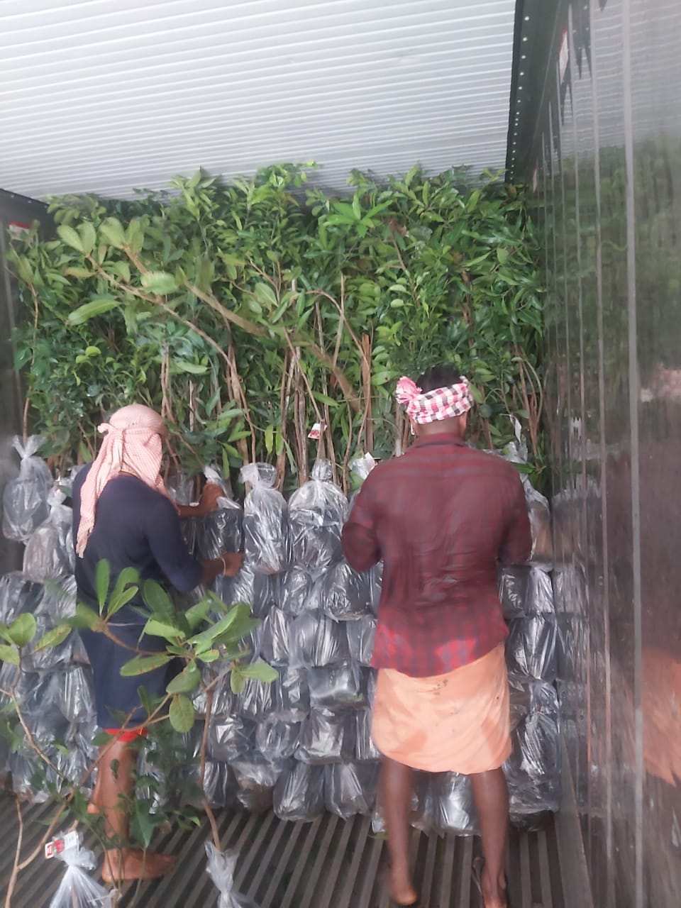horticulture Nursery