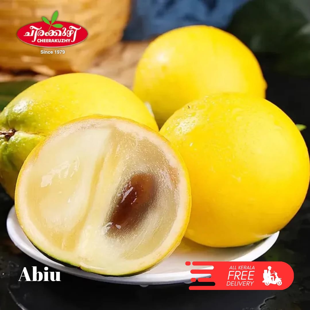 Horticulture Nursery