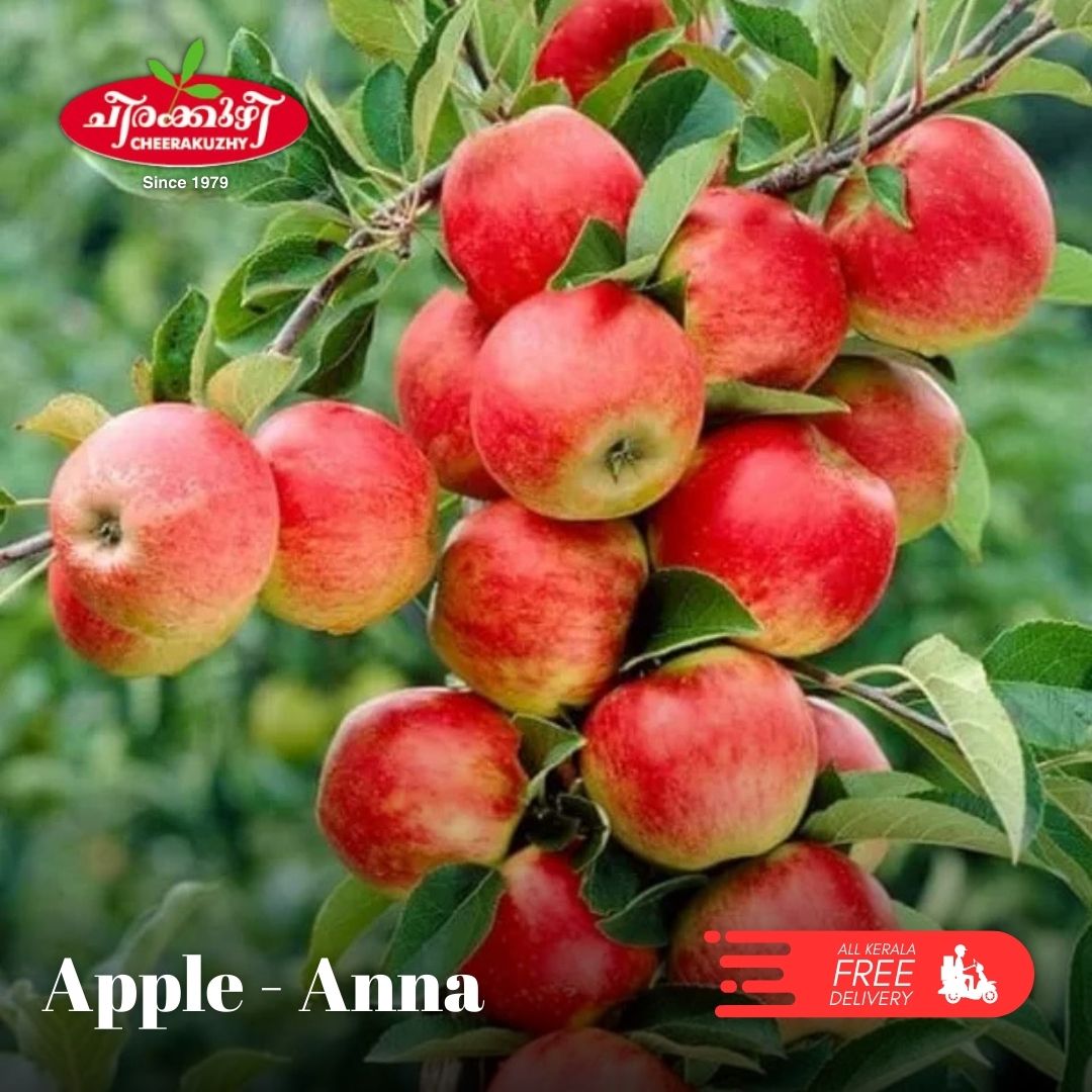 Horticulture Nursery