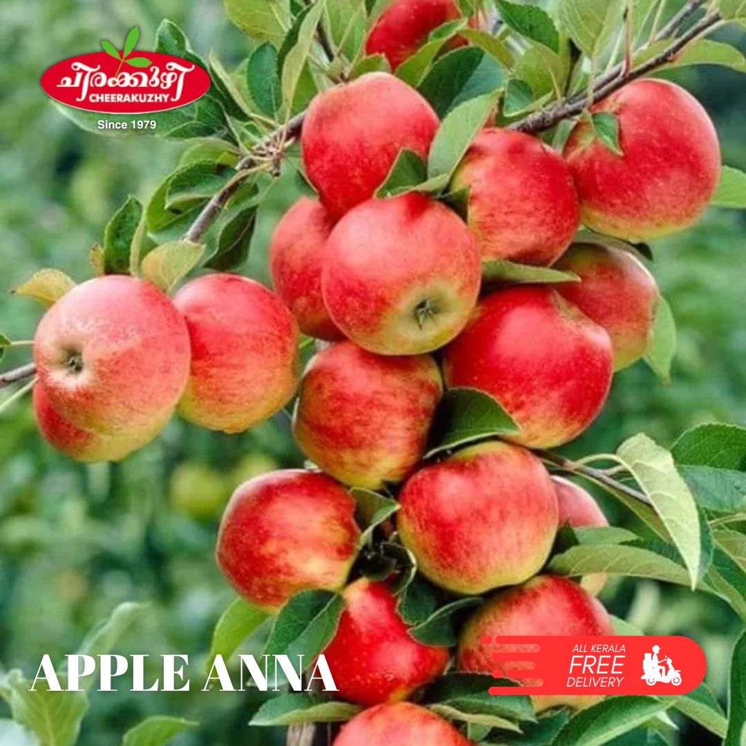 Horticulture Nursery