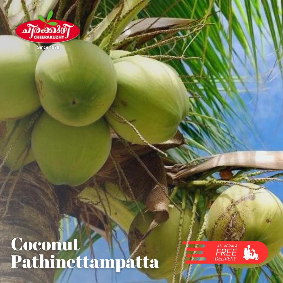 coconut - pathinettampatta