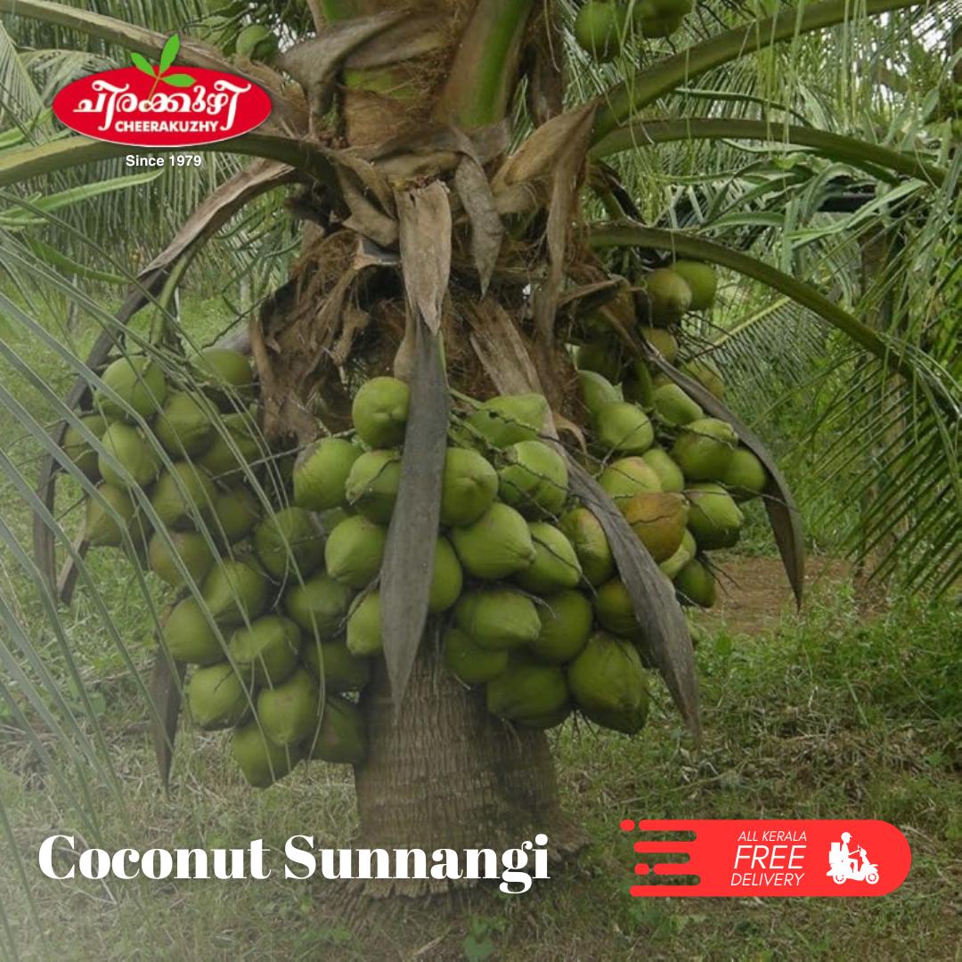 coconut - sunnangi