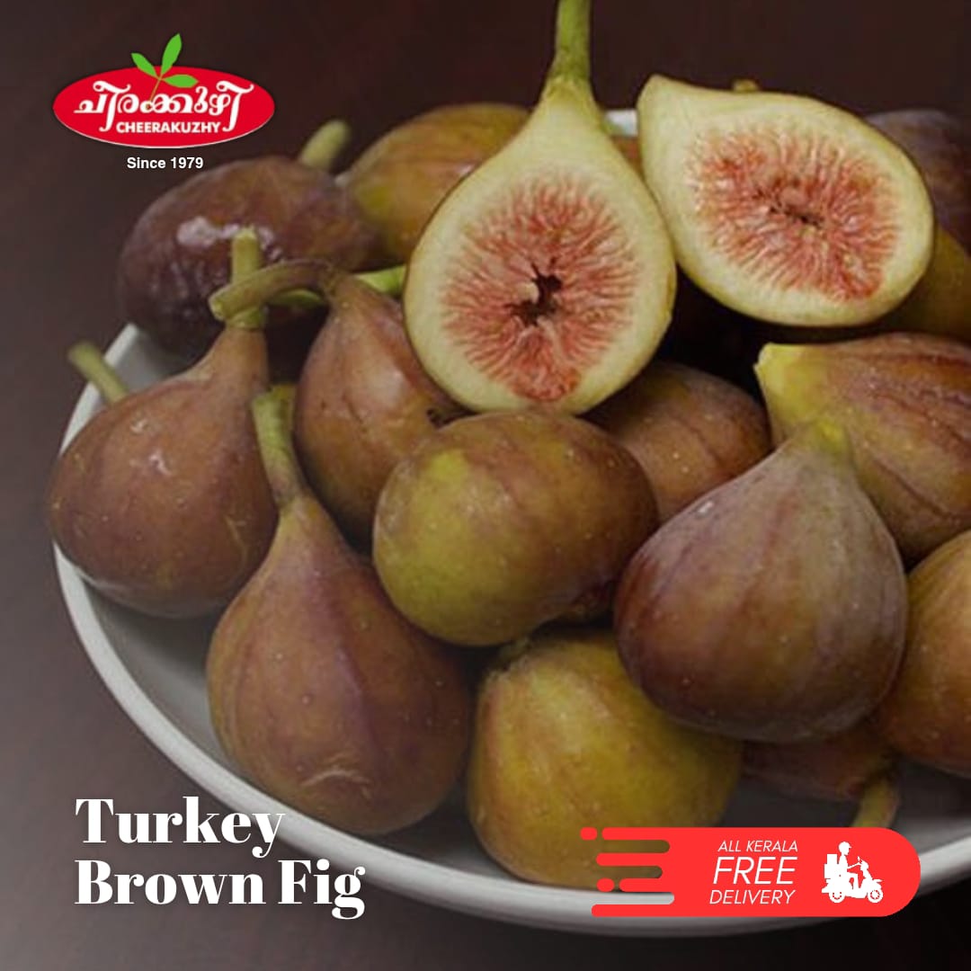 fig brown turkey
