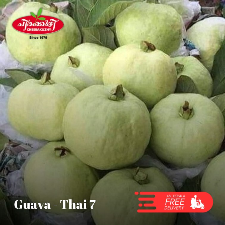 Guava - Thai 7