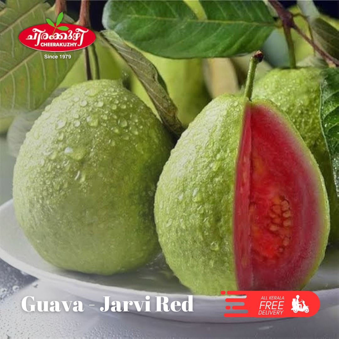 guava jarvi red