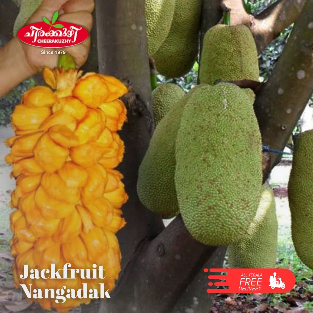 jack fruit  nangadak