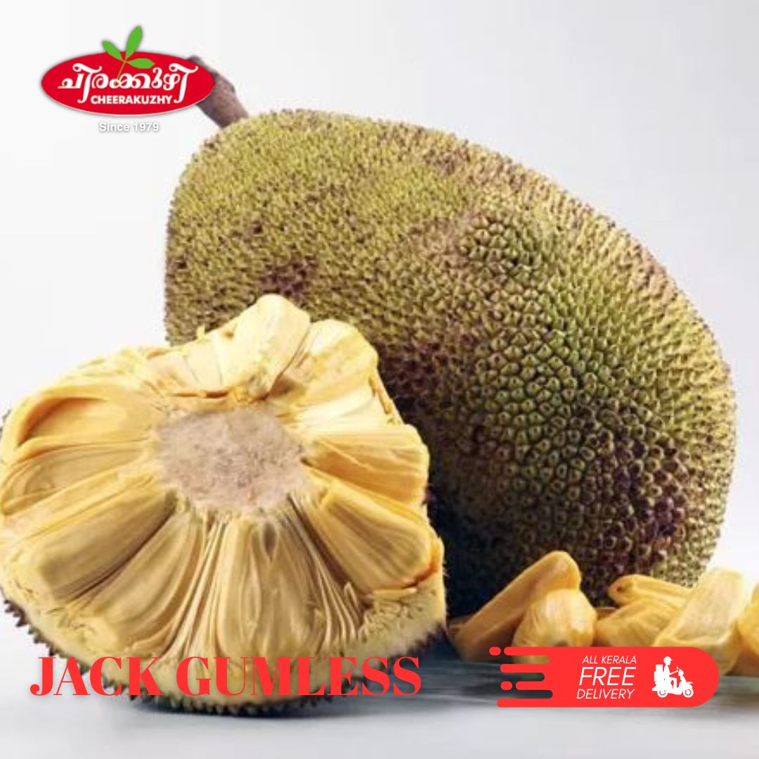 jack fruit gumless