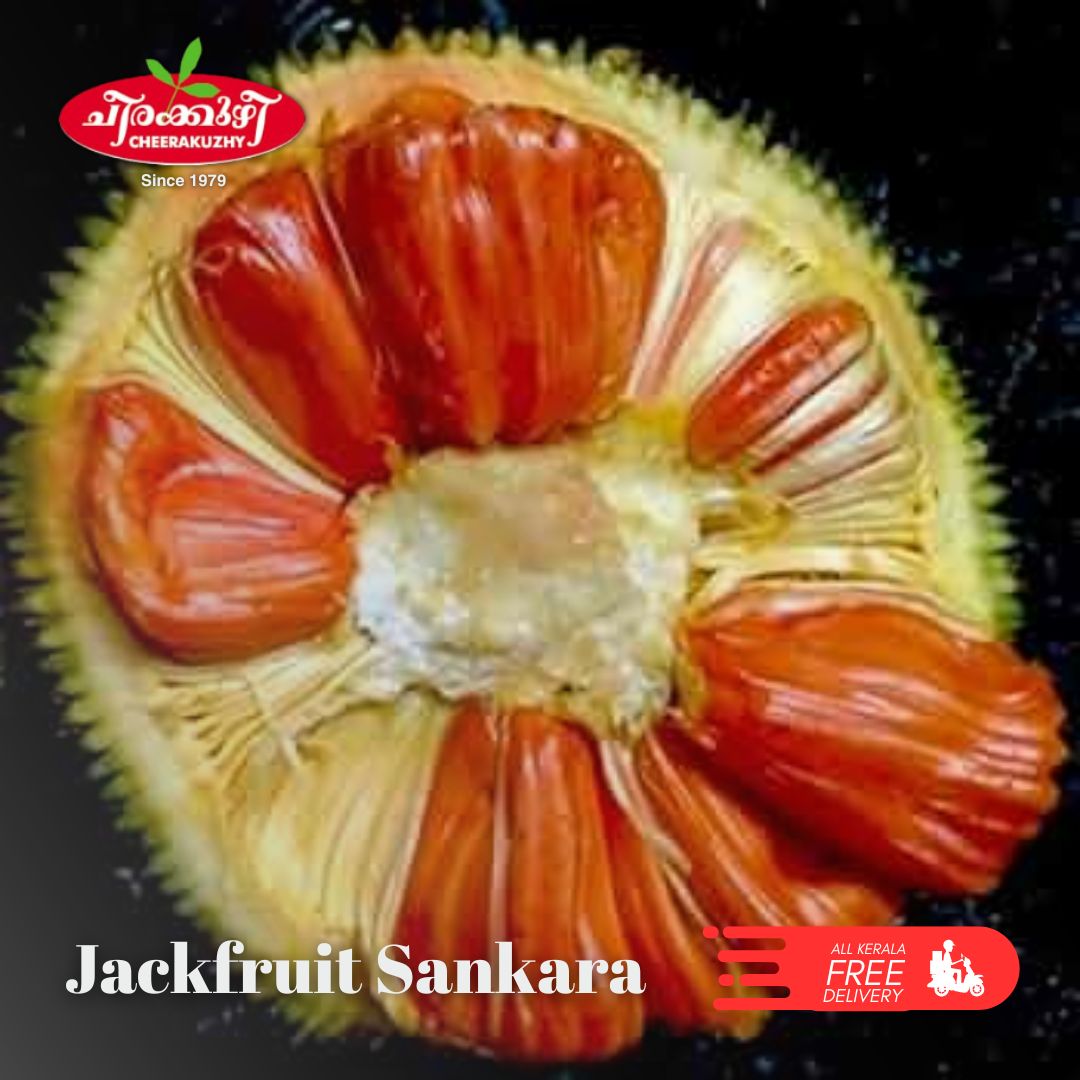 jack fruit sankara