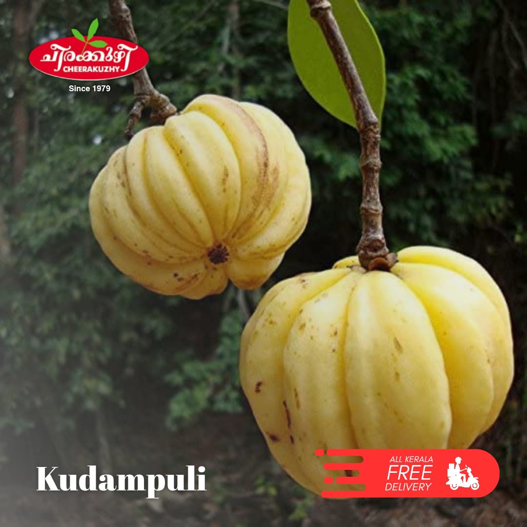 kudampuli