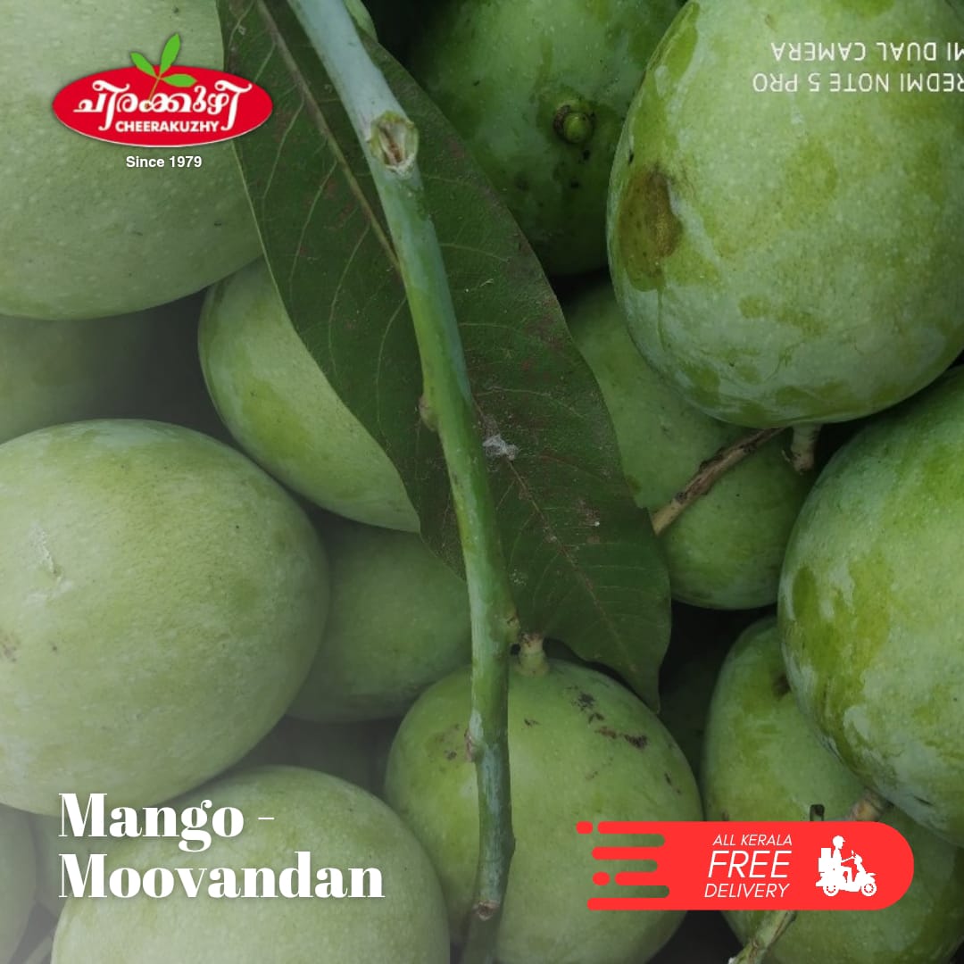 mango - moovandan