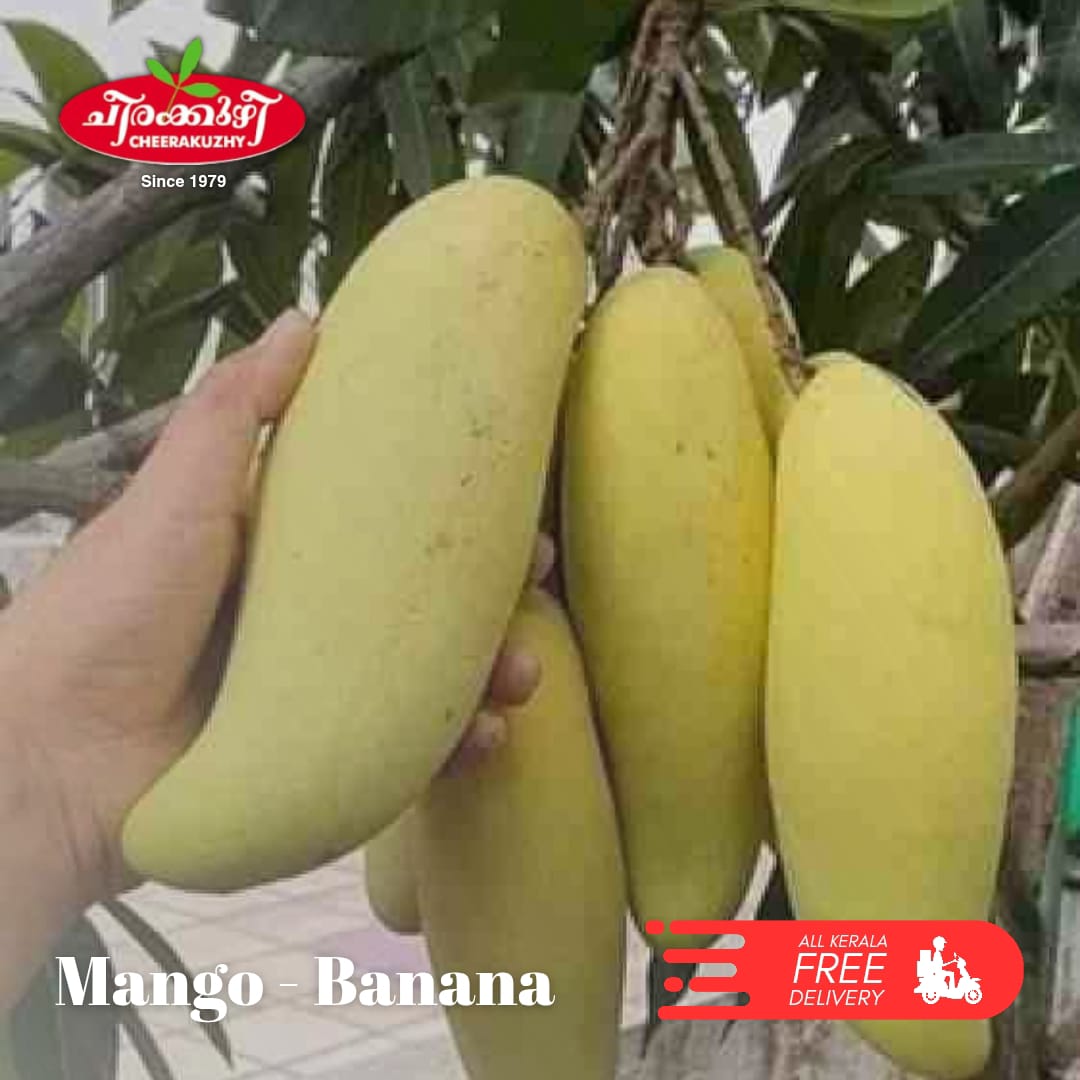 mango banana