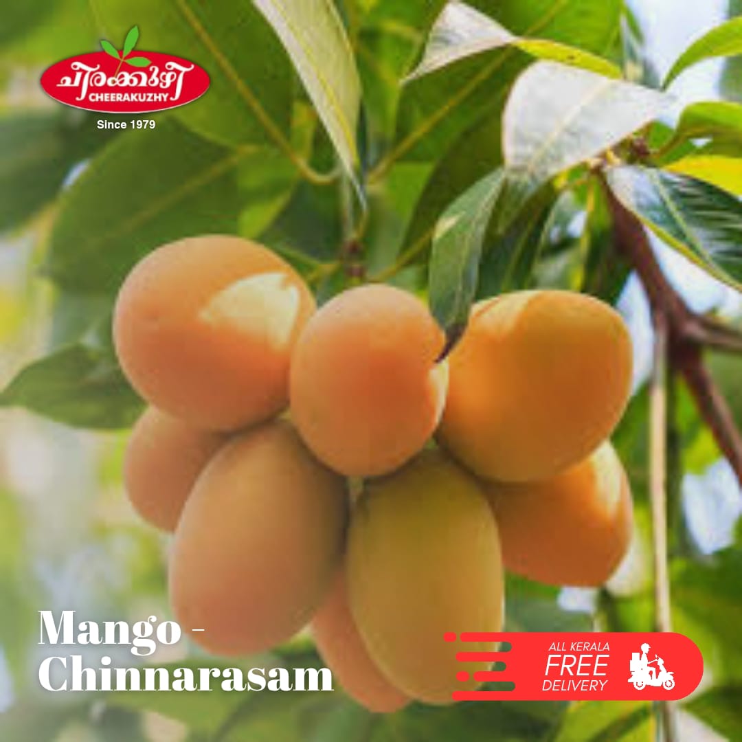 mango chinnarasam