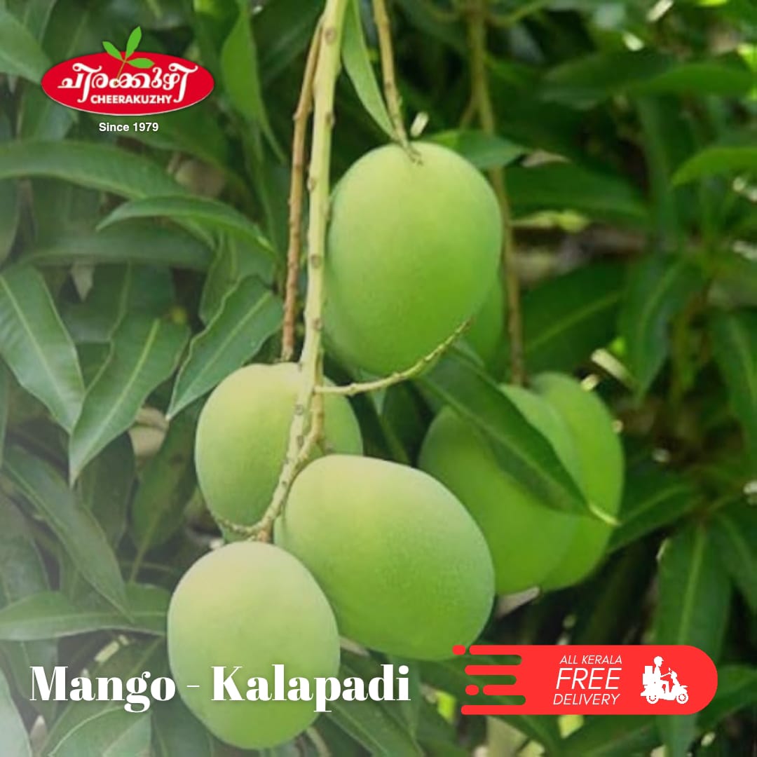mango kalappadi