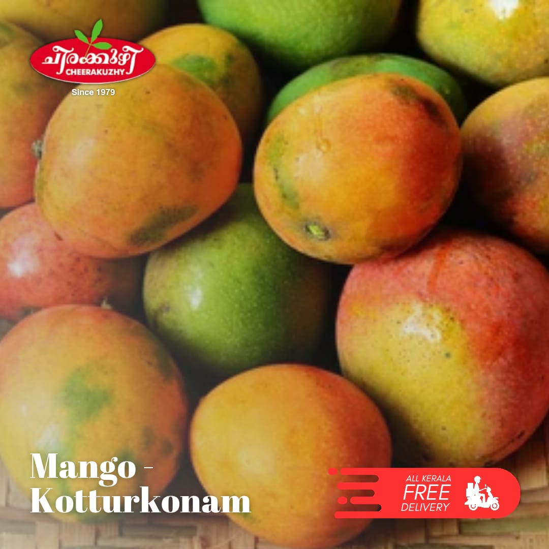mango kotturkonam