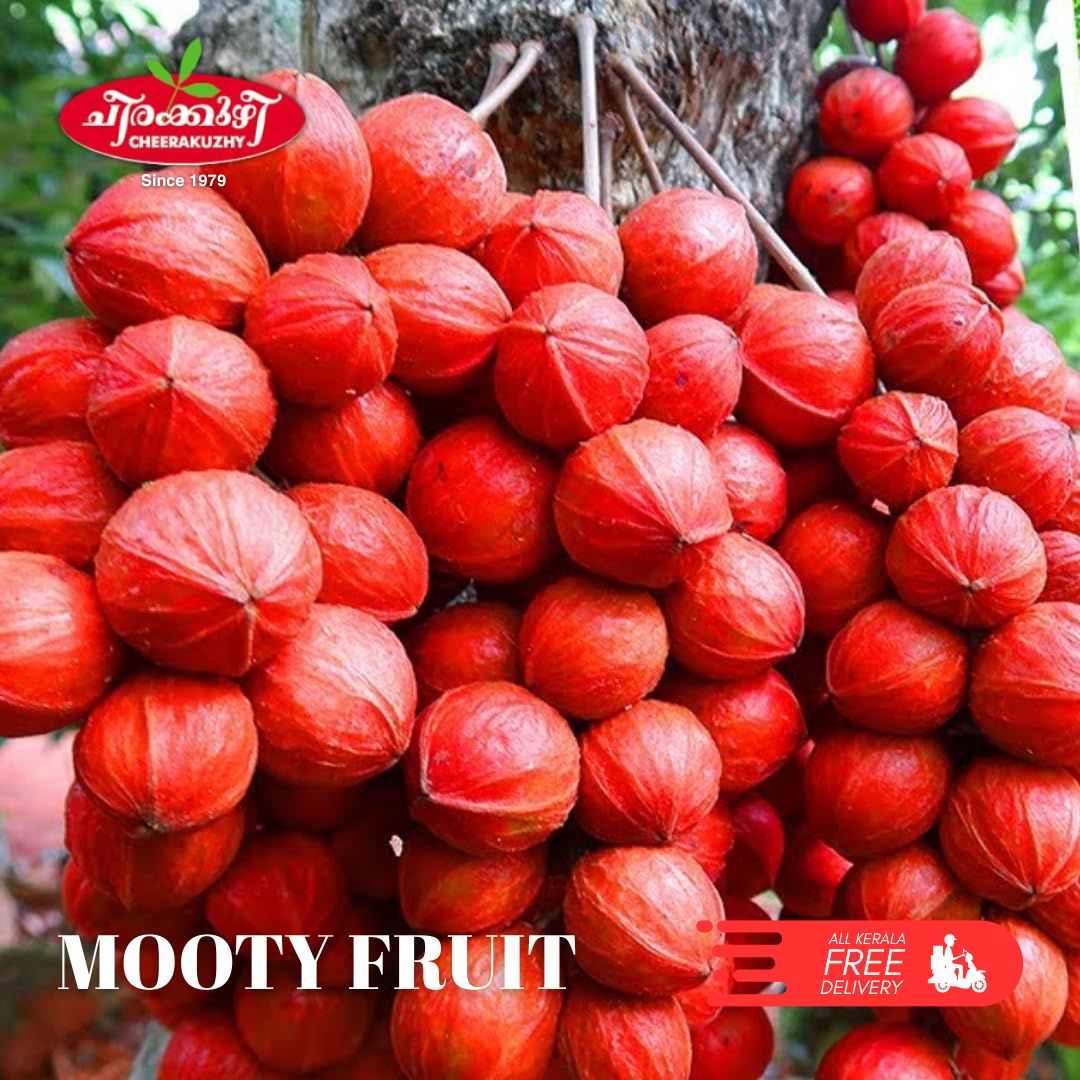 mooti fruit sweet