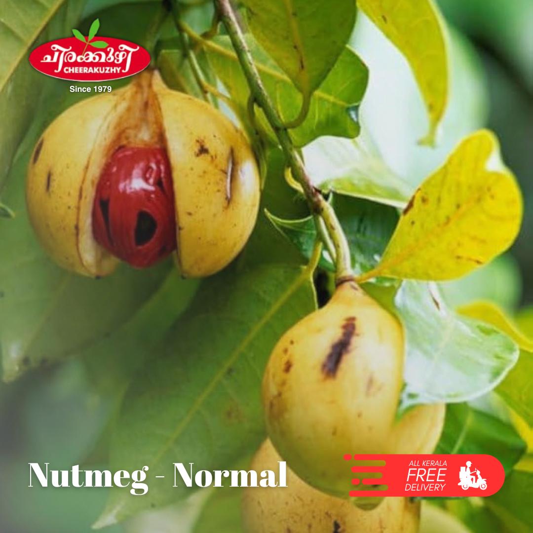 nutmeg - normal