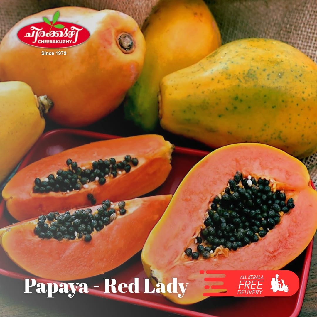 pappaya redlady