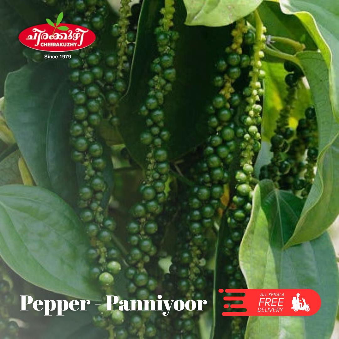 pepper - panniyoor