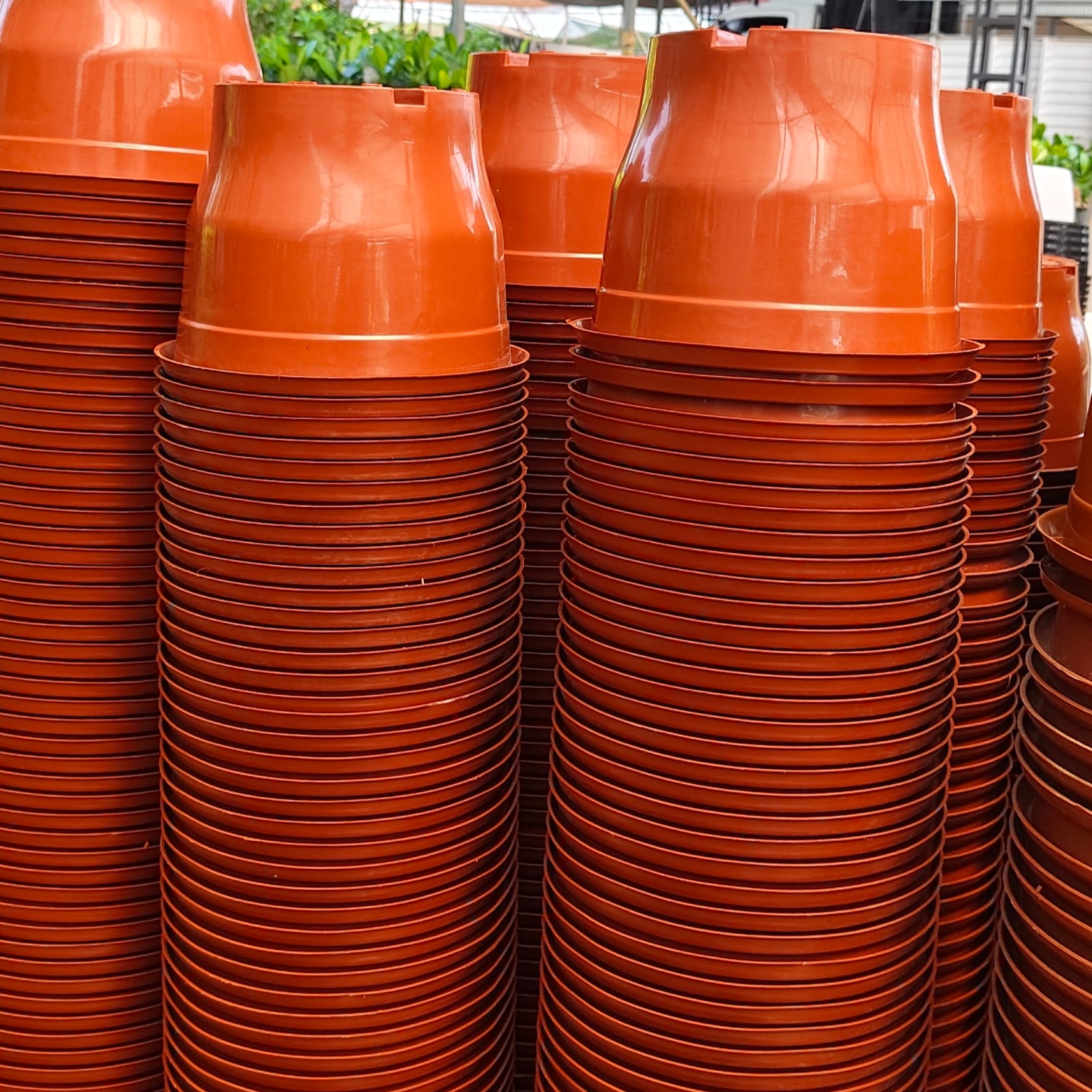 Plastic Pot - Tera - 8 Inch