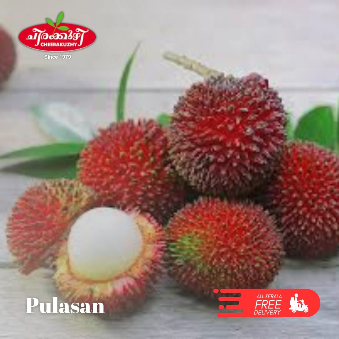 pulasan